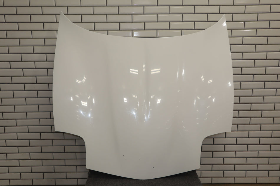 1997-2004 Chevrolet Corvette C5 Hood 10320926