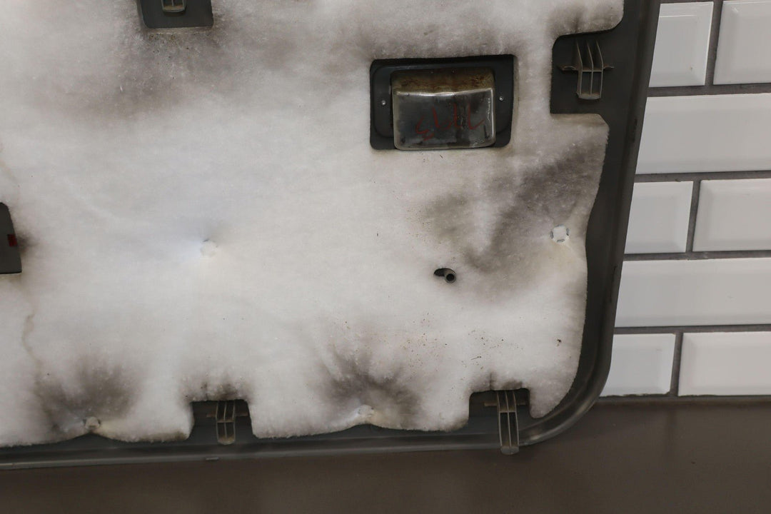 02 - 04 Ford F250 F350 Crew Cab Right Rear Interior Door Panel Medium Flint 3E