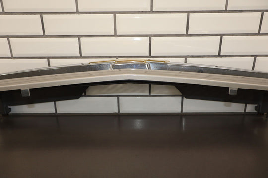 03 - 04 Chevy Silverado 2500 OEM Grille (Silver Birch Metallic 59U)