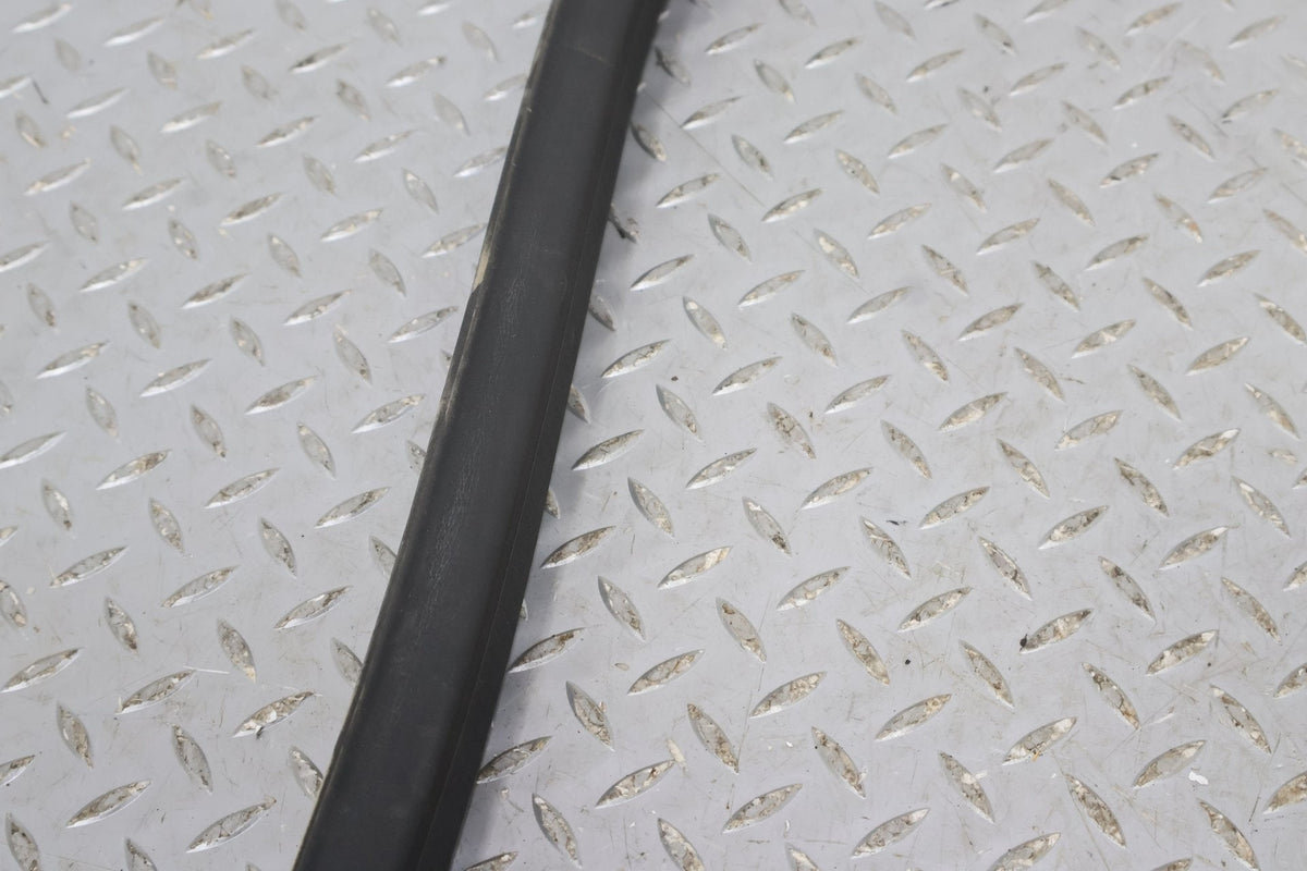 03-06 Chevy SSR Right RH Passenger Door Weather Stripping Gasket Seal