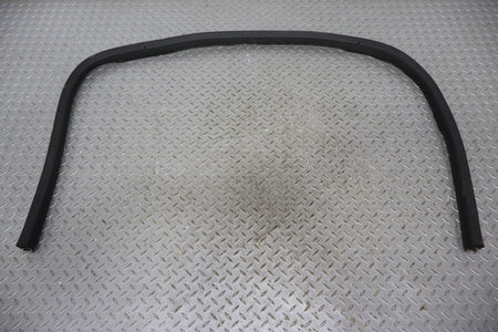 03-06 Chevy SSR Right RH Passenger Door Weather Stripping Gasket Seal