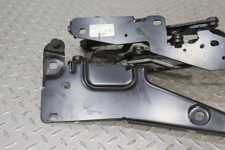 04-09 Cadillac XLR OEM Right RH Trunk Lid Hinges (No Lines No Cylinders)