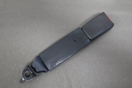 05-09 Ford Mustang S197 Convertible Rear Seat Belt Set With Buckles (Camel KH)