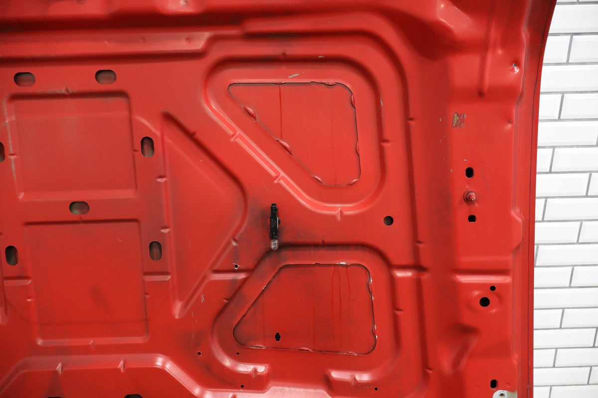 08-10 Ford F250 F350 Super Duty Hood Red FX4 OEM