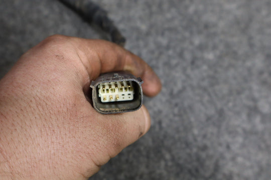 09 - 18 Ram 19 - 24 Ram Classic Tailgate (Black PX8) with Backup Camera 4th Gen