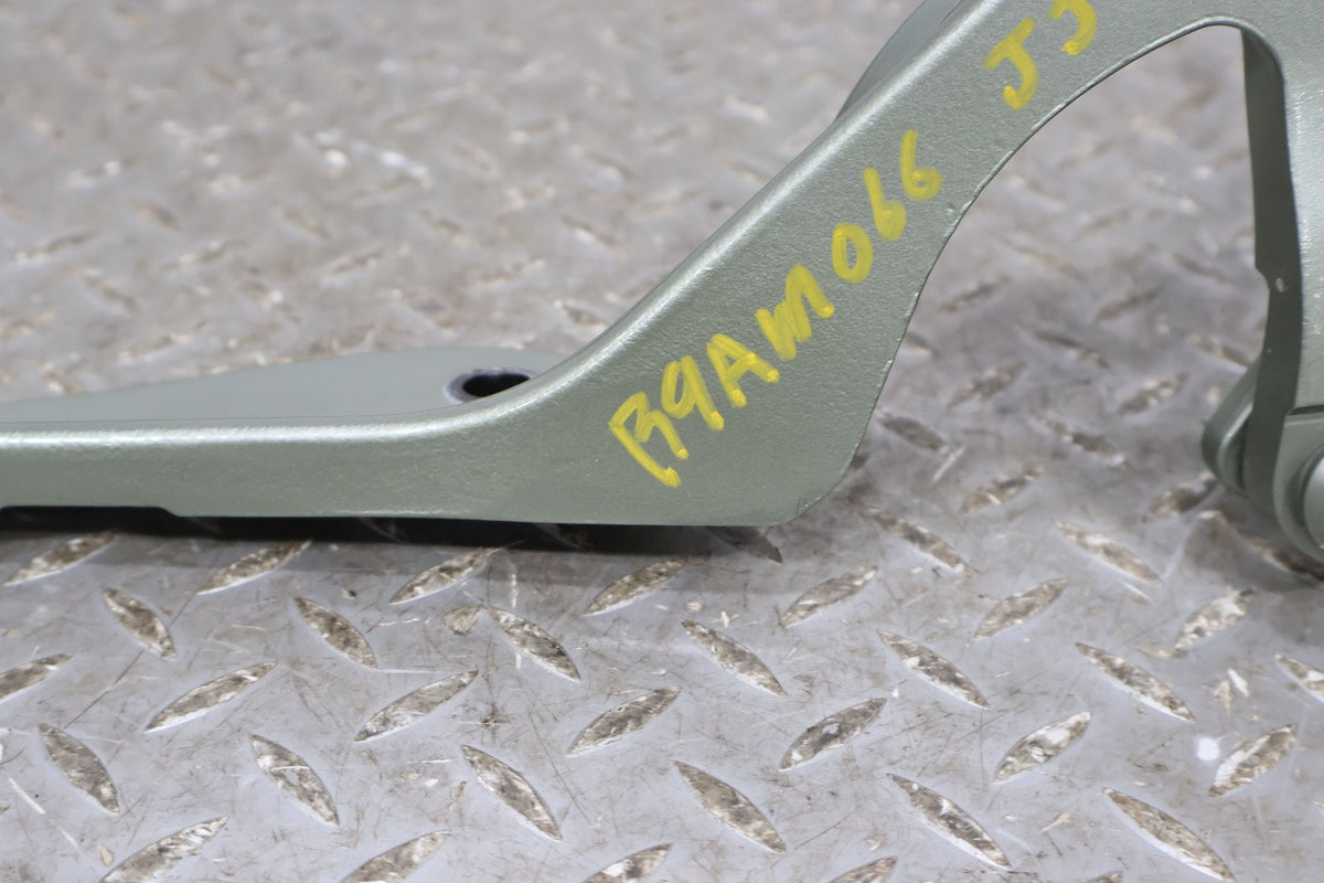 09 Aston Martin V8 Vantage Pair Convertible Deck Lid Hinges (California Sage)