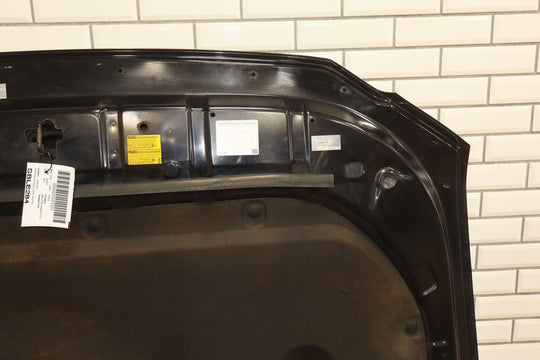 10 - 23 Lexus GX460 Hood Panel (Onyx Black 202) *Touch Up Paint*