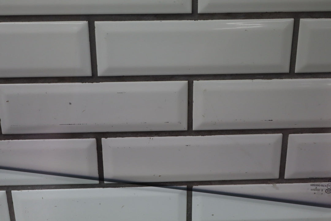 11 - 23 Dodge Charger Left Rear Door Glass / Window OEM