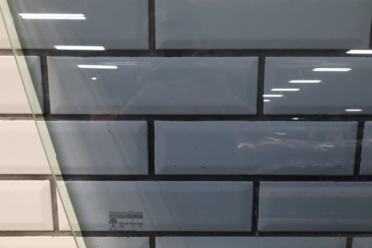 11 - 23 Dodge Charger Passenger Right Front Door Glass / Window OEM