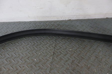 12-20 Tesla Model 3 Rear OEM Right Rear Door Weather Stripping Gasket Seal