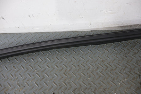12-20 Tesla Model 3 Rear OEM Right Rear Door Weather Stripping Gasket Seal