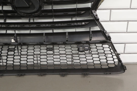 14 - 19 Lexus GX460 (W/Pre - Crash) Front OEM Upper Grille *Repaired*