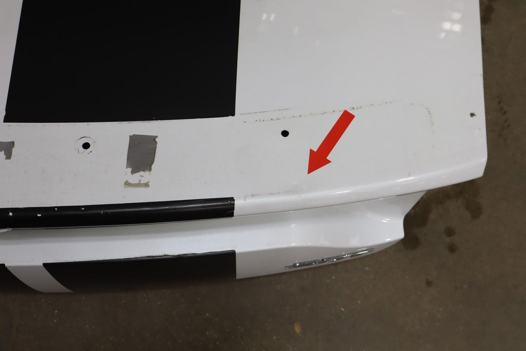 15 - 23 Dodge Charger OEM Trunk Decklid Panel OEM(Ivory White PWD)