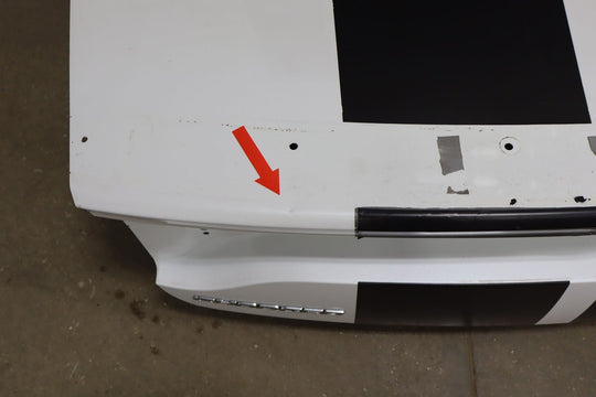15 - 23 Dodge Charger OEM Trunk Decklid Panel OEM(Ivory White PWD)