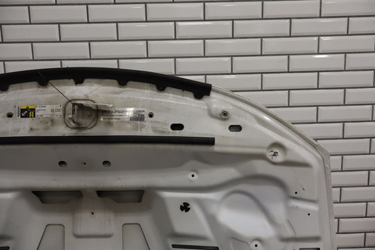 15 - 23 Dodge Charger SRT8 OEM Single Scoop Hood (Ivory White PWD) See Photos