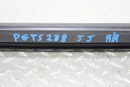 16-20 Tesla Model X Rear Right RH Door Window Track Weather Stripping