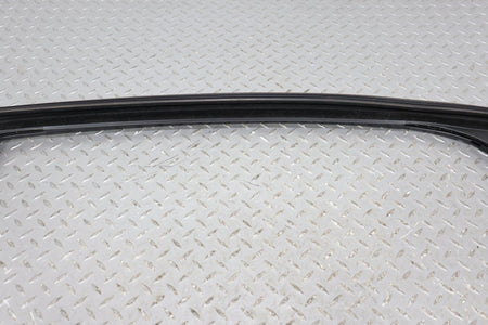 16-20 Tesla Model X Rear Right RH Door Window Track Weather Stripping