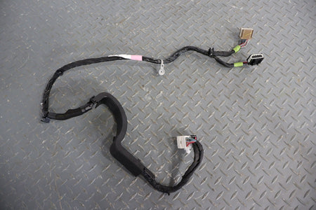 16-20 Tesla Model X Rear Right RH Door Wiring Harness (1063405-00-F) OEM