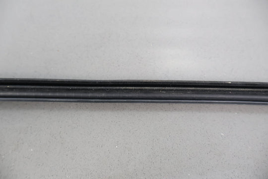 16 - 22 Chevy Camaro Coupe Left LH Door Window Belt Weather Stripping