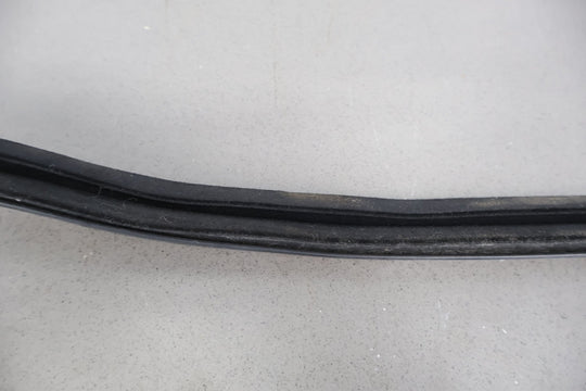 16 - 22 Chevy Camaro Coupe Left LH Door Window Belt Weather Stripping