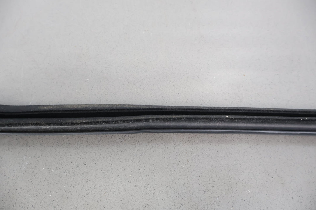 16 - 22 Chevy Camaro Coupe Left LH Door Window Belt Weather Stripping