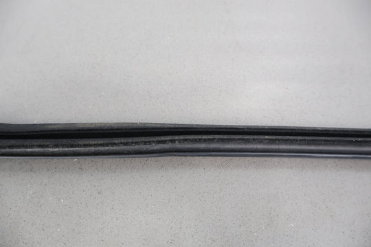 16 - 22 Chevy Camaro Coupe Left LH Door Window Belt Weather Stripping