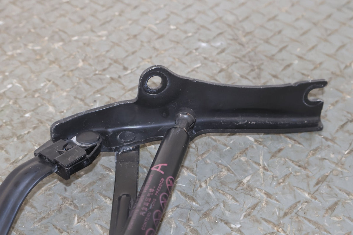 18-23 Lexus LC400 Pair Left & Right Rear Deck Lid Hinges Set (Tested)