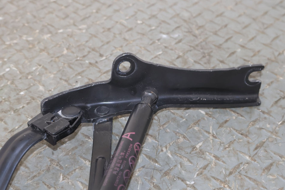 18-23 Lexus LC400 Pair Left & Right Rear Deck Lid Hinges Set (Tested)