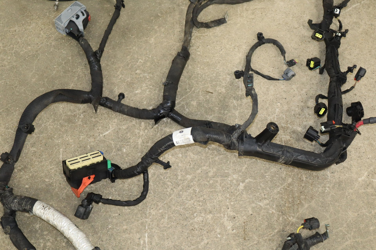 19-24 Ram 1500 (DT) 5.7 Engine Wiring Harness Non-eTorque