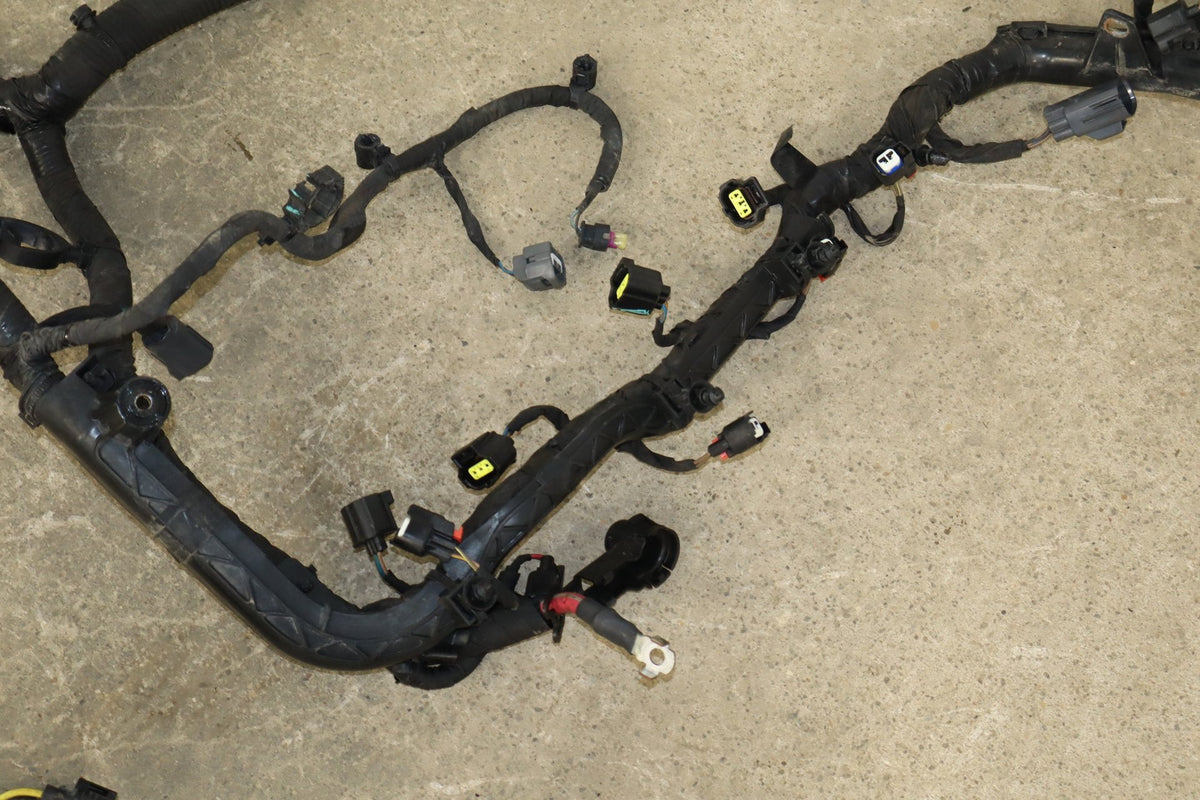 19-24 Ram 1500 (DT) 5.7 Engine Wiring Harness Non-eTorque