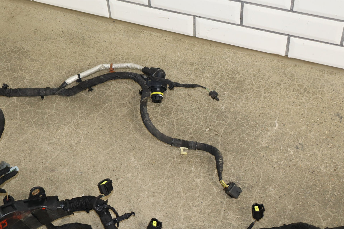 19-24 Ram 1500 (DT) 5.7 Engine Wiring Harness Non-eTorque