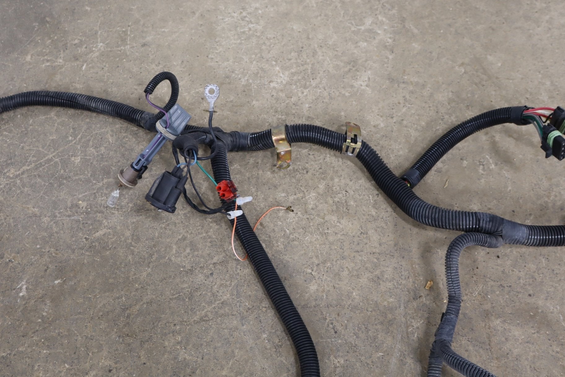 1984-1990 Chevrolet Corvette C4- Headlight Wiring Harness