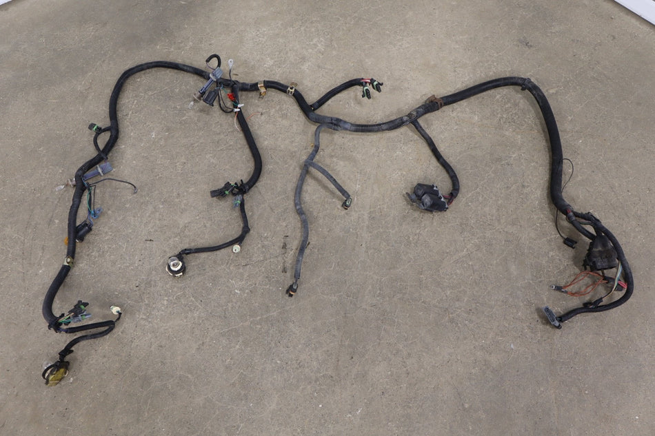 1984-1990 Chevrolet Corvette C4- Headlight Wiring Harness