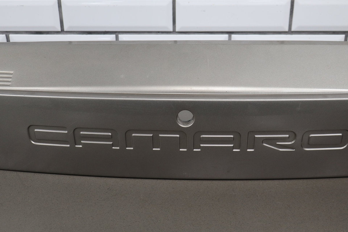 1993-2002 Chevrolet Camaro Tail Finish Panel Light Pewter