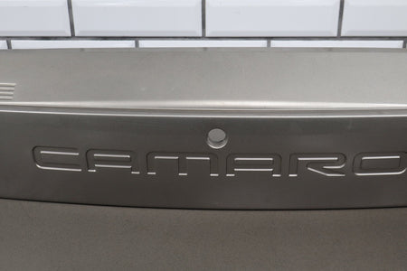 1993-2002 Chevrolet Camaro Tail Finish Panel Light Pewter