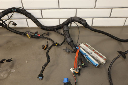 1995 - 1998 Chevy Camaro Firebird 3.8L V6 L36 Engine Wiring Harness