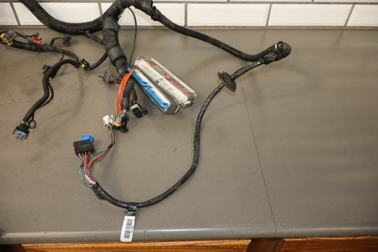 1995 - 1998 Chevy Camaro Firebird 3.8L V6 L36 Engine Wiring Harness