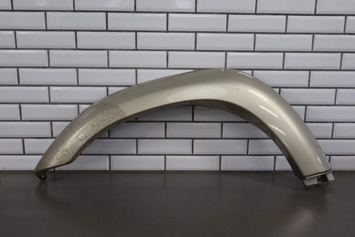 1996-1997 Lexus LX450 Left Fender Molding Desert Dune Pearl