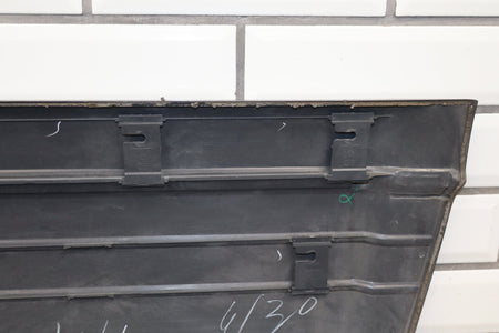 1996-1997 Lexus LX450 Left Front Door Molding Cashmere Beige 4M9