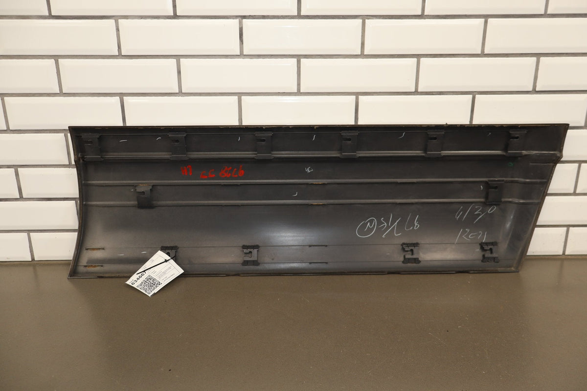 1996-1997 Lexus LX450 Left Front Door Molding Cashmere Beige 4M9