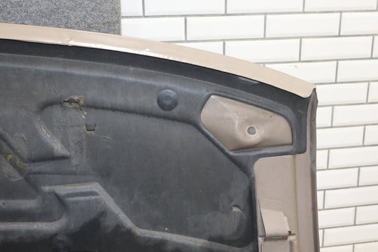 1996 - 2002 GMC Savana Hood Custom Finish