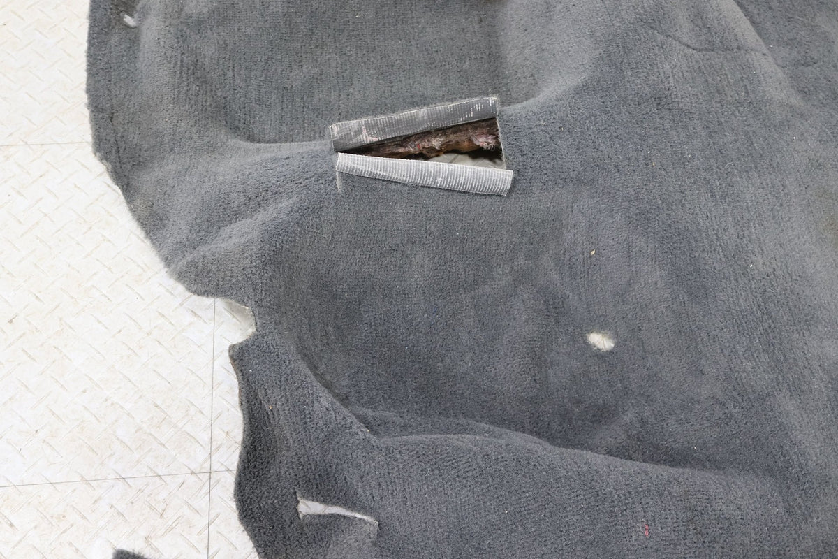 1996 Pontiac Firebird- Front Carpet