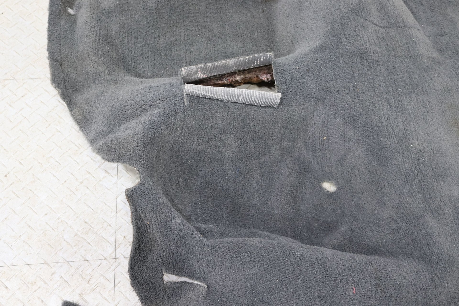 1996 Pontiac Firebird- Front Carpet