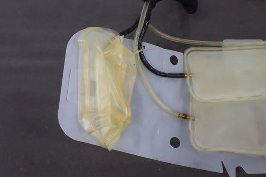 1997 - 2004 C5 Corvette Right Passenger OEM Lumbar Bladders *Tested Good*