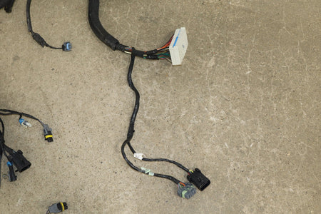 1997-2004 Chevrolet Corvette C5 Headlight Harness With Fog Lamps