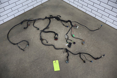 1997-2004 Chevrolet Corvette C5 Headlight Wiring Harness W/ Fog Lamps