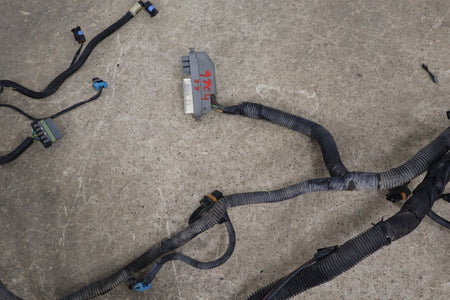 1997-2004 Chevrolet Corvette C5 Headlight Wiring Harness W/ Fog Lamps
