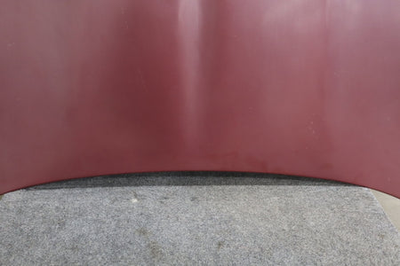 1997-2004 Chevrolet Corvette C5 Hood 10320926