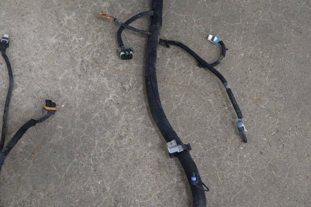 1997-2004 Chevrolet Corvette Manual Transmission Wiring Harness