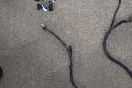 1997-2004 Chevrolet Corvette Manual Transmission Wiring Harness